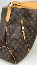 Load image into Gallery viewer, Louis Vuitton delightful GM