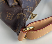 Load image into Gallery viewer, Louis Vuitton bumbag in monogram
