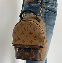 Load image into Gallery viewer, Louis Vuitton palm springs mini backpack