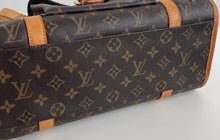 Load image into Gallery viewer, Louis Vuitton baxter PM pet/ dog carrier