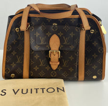 Load image into Gallery viewer, Louis Vuitton baxter PM pet/ dog carrier