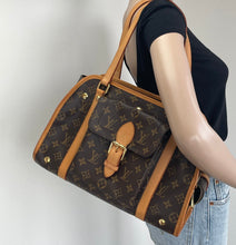 Load image into Gallery viewer, Louis Vuitton baxter PM pet/ dog carrier