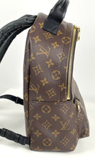 Load image into Gallery viewer, Louis Vuitton palm springs PM backpack