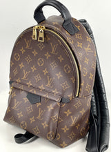 Load image into Gallery viewer, Louis Vuitton palm springs PM backpack