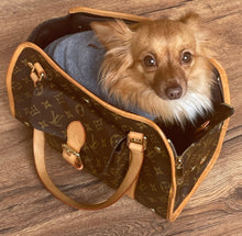 Load image into Gallery viewer, Louis Vuitton baxter PM pet/ dog carrier
