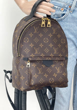 Load image into Gallery viewer, Louis Vuitton palm springs PM backpack
