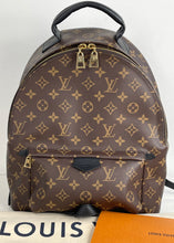 Load image into Gallery viewer, Louis Vuitton palm springs MM