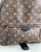 Load image into Gallery viewer, Louis Vuitton palm springs MM