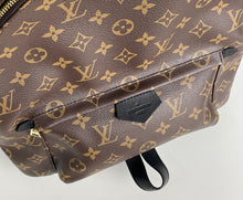 Load image into Gallery viewer, Louis Vuitton palm springs MM