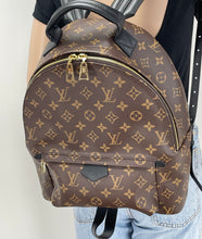 Load image into Gallery viewer, Louis Vuitton palm springs MM