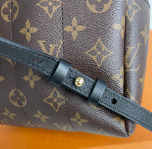 Load image into Gallery viewer, Louis Vuitton palm springs PM backpack reverse