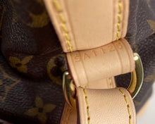 Load image into Gallery viewer, Louis Vuitton petit Noé in monogram