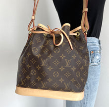 Load image into Gallery viewer, Louis Vuitton petit Noé in monogram