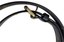 Load image into Gallery viewer, Louis Vuitton pochette metis in monogram