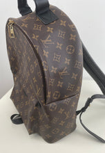 Load image into Gallery viewer, Louis Vuitton palm springs MM
