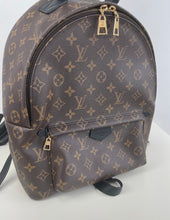 Load image into Gallery viewer, Louis Vuitton palm springs MM