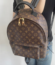 Load image into Gallery viewer, Louis Vuitton palm springs MM
