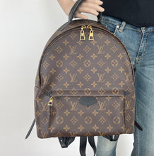 Load image into Gallery viewer, Louis Vuitton palm springs MM