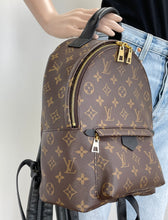 Load image into Gallery viewer, Louis Vuitton palm springs PM backpack