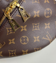 Load image into Gallery viewer, Louis Vuitton bumbag in monogram