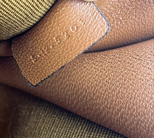 Celine clutch on chain in triomphe canvas and lambskin