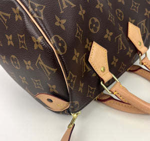 Louis Vuitton speedy 25 in monogram