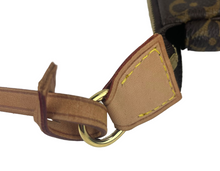 Load image into Gallery viewer, Louis Vuitton pochette in monogram