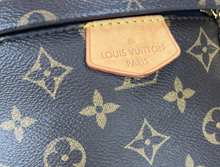 Load image into Gallery viewer, Louis Vuitton bumbag in monogram