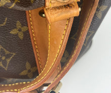 Load image into Gallery viewer, Louis Vuitton petit noé in monogram canvas