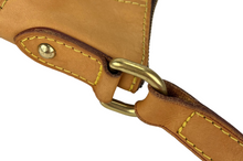 Load image into Gallery viewer, Louis Vuitton Odeon PM