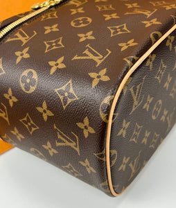 Louis Vuitton nice BB