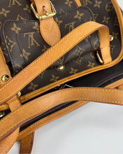 Load image into Gallery viewer, Louis Vuitton baxter PM pet/ dog carrier
