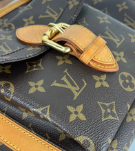 Load image into Gallery viewer, Louis Vuitton baxter PM pet/ dog carrier