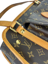 Load image into Gallery viewer, Louis Vuitton baxter PM pet/ dog carrier