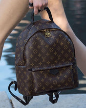 Load image into Gallery viewer, Louis Vuitton palm springs MM