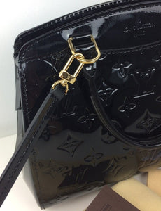 Louis Vuitton brea pm with strap