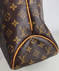 Louis Vuitton delightful MM monogram