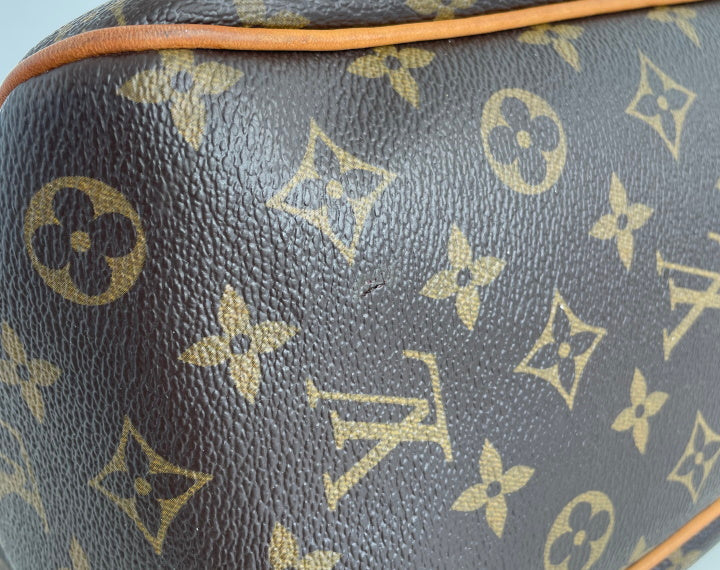 Louis Vuitton delightful PM – Lady Clara's Collection