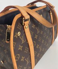 Load image into Gallery viewer, Louis Vuitton baxter PM pet/ dog carrier