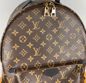 Louis Vuitton palm springs MM backpack