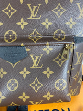 Load image into Gallery viewer, Louis Vuitton palm springs MM backpack