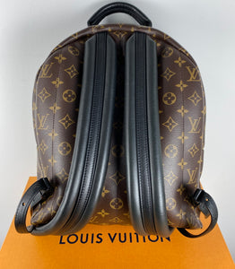 Louis Vuitton palm springs MM backpack