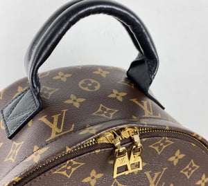 Louis Vuitton palm springs MM backpack