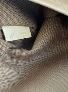 Louis Vuitton pochette accessories in monogram