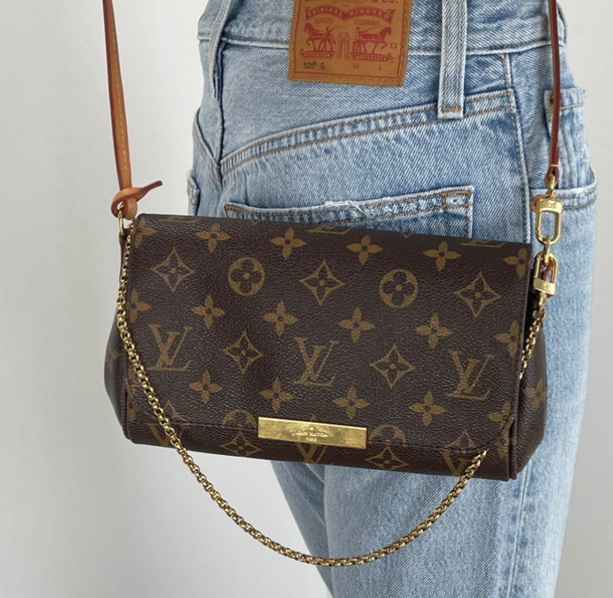 Louis Vuitton favorite PM in monogram