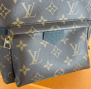 Louis Vuitton palm springs PM backpack