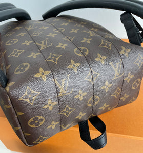 Louis Vuitton palm springs PM backpack