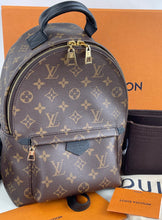 Load image into Gallery viewer, Louis Vuitton palm springs PM backpack