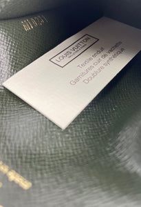 Louis Vuitton Félicie strap & Go monogram canvas