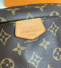 Load image into Gallery viewer, Louis Vuitton bumbag in monogram